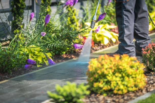 Pine Island Center, FL Pressure Washing Services Company