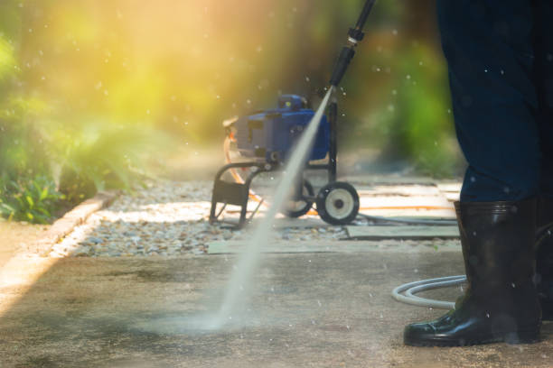 Best Animal Enclosure Cleaning  in Pine Island Center, FL